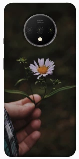 Чехол на OnePlus 7T Ромашка v4 фото 1 из 1