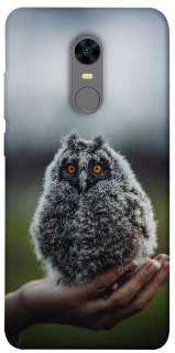 Чохол на Xiaomi Redmi 5 Plus / Redmi Note 5 (Single Camera) Совеня фото 1 з 1