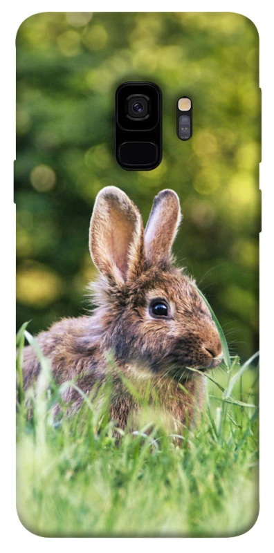 Чохол на Samsung Galaxy S9 Кролики фото 1 з 1
