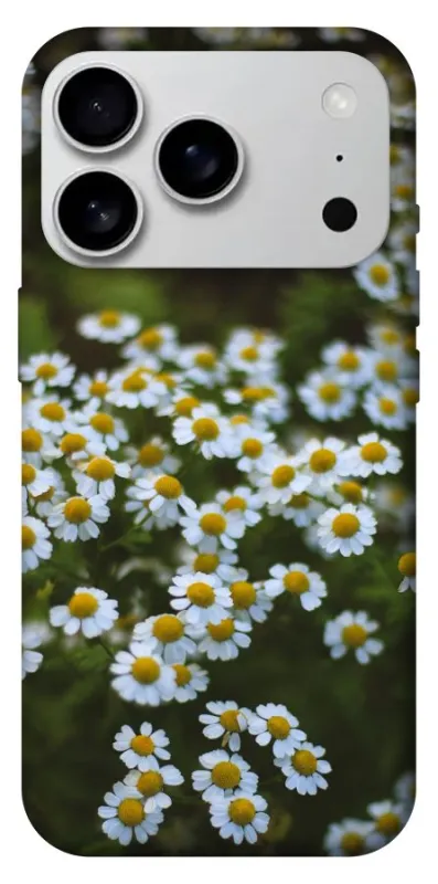 Чехол на Apple iPhone 18 Pro Max Ромашки v13 фото 1 из 1