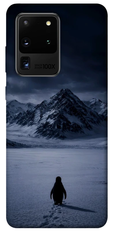 Чехол на Samsung Galaxy S20 Ultra But why? фото 1 из 1