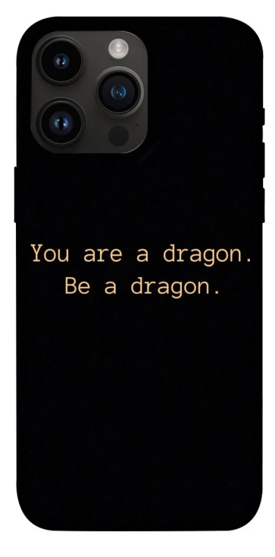 Чехол на Apple iPhone 14 Pro Max (6.7") House of the Dragon ver.9 фото 1 из 1