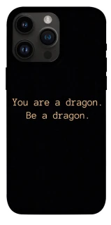 Чехол на Apple iPhone 14 Pro Max (6.7") House of the Dragon ver.9 фото 1 из 1