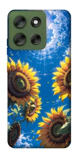 Чохол на Motorola Moto G56 5G Sunflowers фото 1 з 1