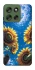 Чехол на Motorola Moto G56 5G Sunflowers фото 1 из 1