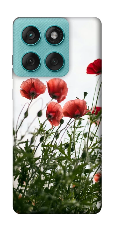 Чохол на Motorola Edge 60 Fusion Поле маків фото 1 з 1