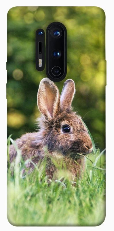 Чохол на OnePlus 8 Pro Кролики фото 1 з 1