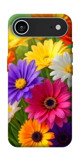 Чохол на Apple iPhone 17 Air (6.5") Flowers v32 фото 1 з 1
