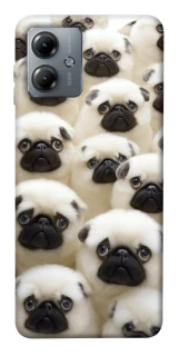 Чехол на Motorola Moto G14 Doggy Pug Love фото 1 из 1
