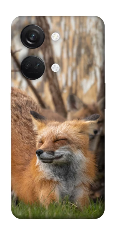 Чохол на OnePlus Nord 3 Лисиця фото 1 з 1
