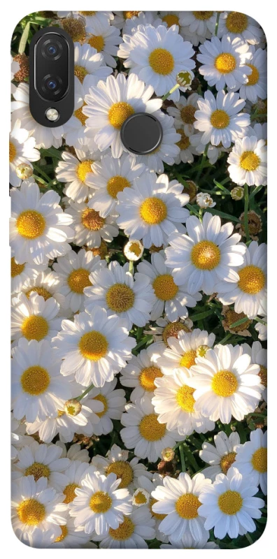 Чохол на Huawei P Smart+ (nova 3i) Поле ромашок фото 1 з 1