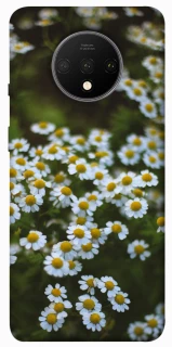 Чехол на OnePlus 7T Ромашки v13 фото 1 из 1