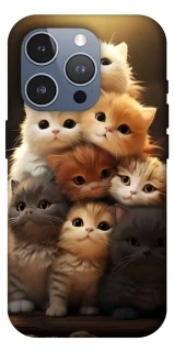 Чохол на Apple iPhone 16 Pro Max Чохол Kittie Love v2 фото 1 з 1