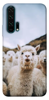 Чохол на Huawei Honor 20 Pro Лама фото 1 з 1