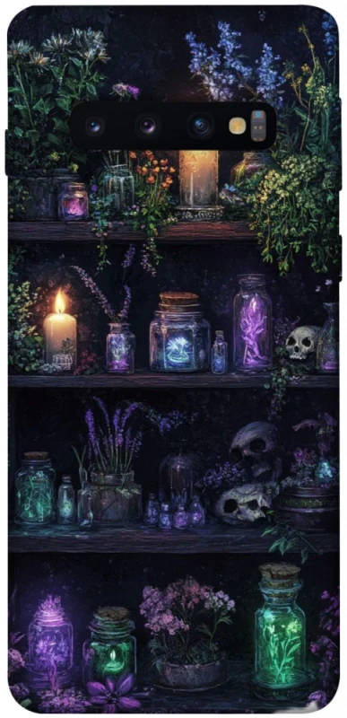 Чохол на Samsung Galaxy S10 Magic shelf ver.1 фото 1 з 1