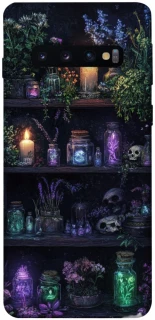 Чохол на Samsung Galaxy S10 Magic shelf ver.1 фото 1 з 1