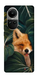 Чехол на Oppo Reno 10 Fox фото 1 из 2