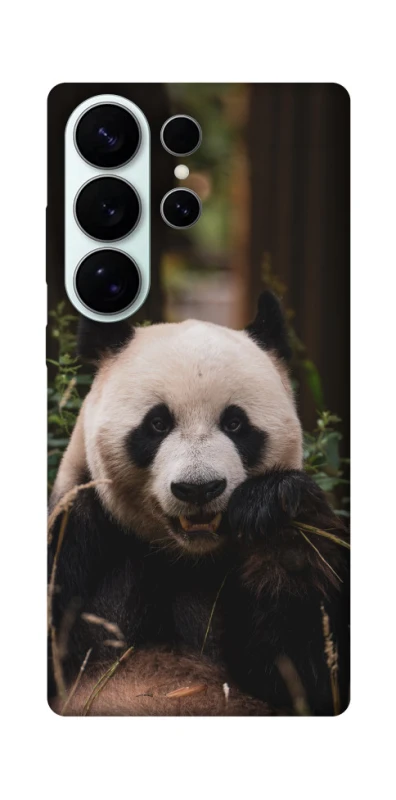 Чохол на Samsung Galaxy S26 Панда фото 1 з 1