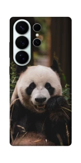 Чехол на Samsung Galaxy S26 Pro Панда фото 1 из 1