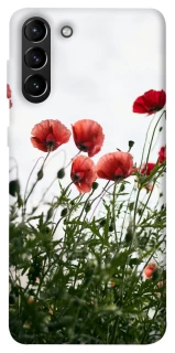 Чохол на Samsung Galaxy S21+ Поле маків фото 1 з 1