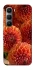 Чохол на Infinix Hot 60 Pro Flower1 фото 1 з 1