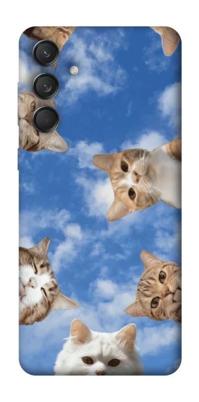 Чохол на Samsung Galaxy M55 Сats фото 1 з 1