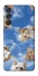 Чохол на Samsung Galaxy M55 Сats фото 1 з 1