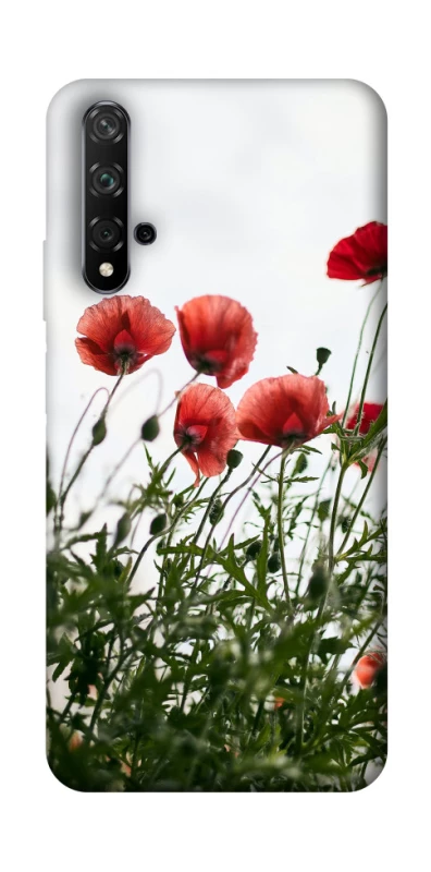 Чохол на Huawei Honor 20 / Nova 5T Поле маків фото 1 з 1