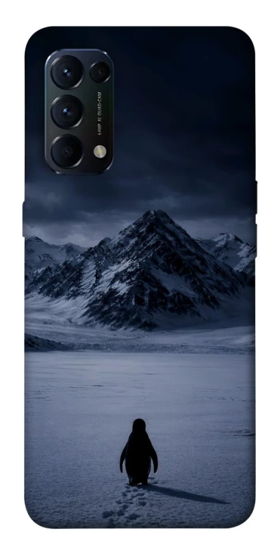 Чехол на Oppo Reno 5 4G But why? фото 1 из 1