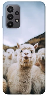 Чохол на Samsung Galaxy A23 4G Лама фото 1 з 1