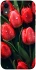 Чохол на Apple iPhone XR (6.1") Червоні тюльпани фото 1 Чохол на Apple iPhone XR (6.1") Червоні тюльпани фото 1 з 1