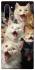 Чохол на Samsung Galaxy Note 10 Коти фото 1 з 1