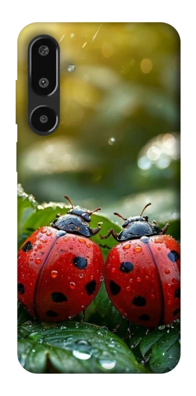 Чохол на Samsung Galaxy F16 Flowers v23 фото 1 з 1