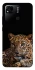 Чохол на Xiaomi Redmi 10A Leopard v4 фото 1 з 1