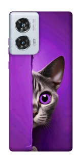 Чохол на Motorola Edge 50 Fusion Кіт-підглядач фото 1 з 1
