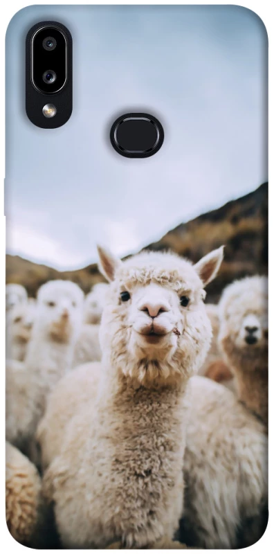 Чохол на Samsung Galaxy A10s Лама фото 1 з 1