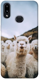 Чохол на Samsung Galaxy A10s Лама фото 1 з 1