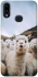 Чохол на Samsung Galaxy A10s Лама фото 1 з 1