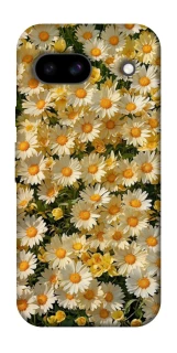 Чехол на Google Pixel 8a Camomile фото 1 из 1