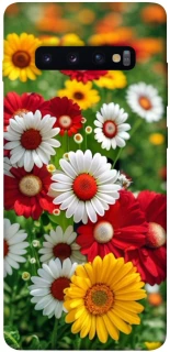 Чохол на Samsung Galaxy S10+ Flowers v11 фото 1 з 1