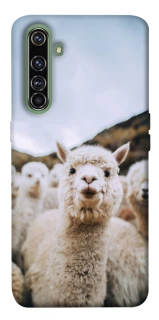 Чохол на Realme X50 Pro Лама фото 1 з 1