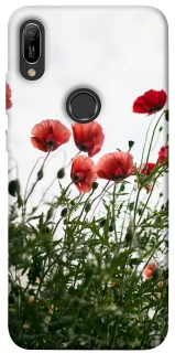 Чохол на Huawei Y6 (2019) Поле маків фото 1 з 1