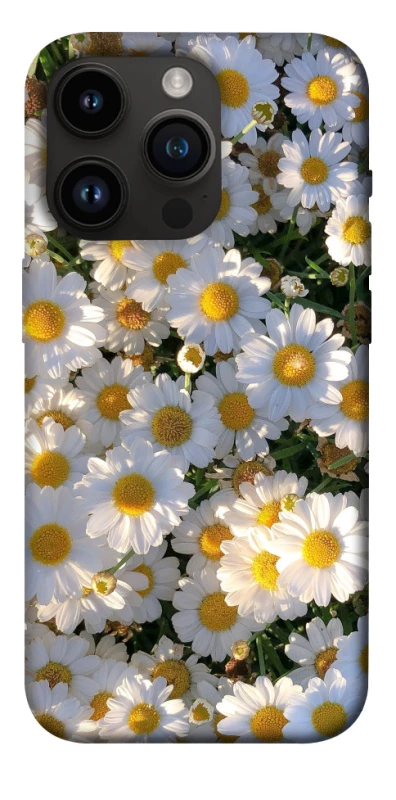 Чохол на Apple iPhone 14 Pro (6.1") Поле ромашок фото 1 з 1