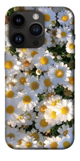 Чохол на Apple iPhone 14 Pro (6.1") Поле ромашок фото 1 з 1