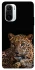 Чохол на Xiaomi Redmi K40 / K40 Pro / K40 Pro+ / Poco F3 Leopard v4 фото 1 з 1