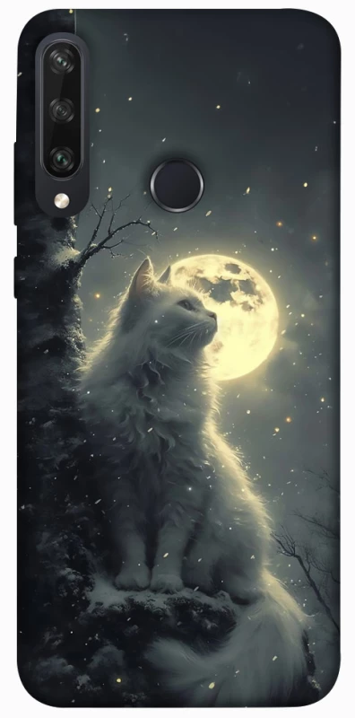 Чехол на Huawei Y6p Кот под луной фото 1 из 1