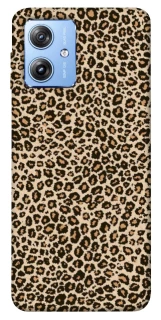Чохол на Motorola Moto G84 Leopard Skin v2 фото 1 з 1
