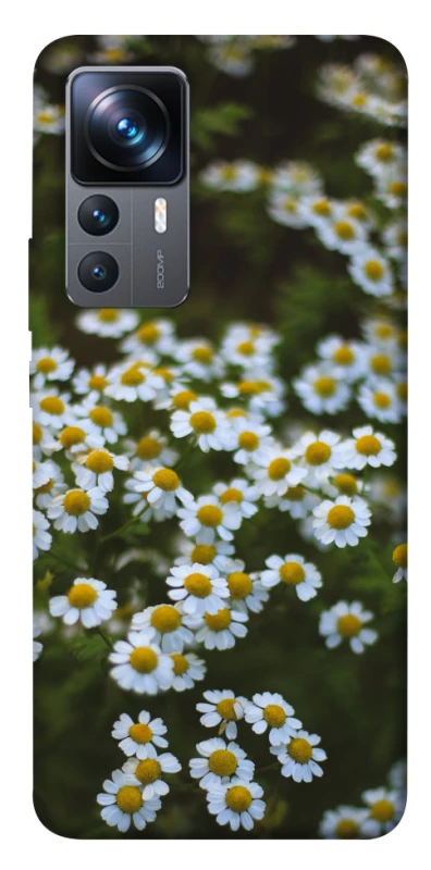 Чехол на Xiaomi 12T / 12T Pro Ромашки v13 фото 1 из 1
