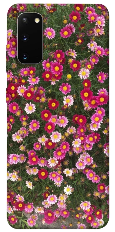 Чохол на Samsung Galaxy S20 Flowers v8 фото 1 з 1