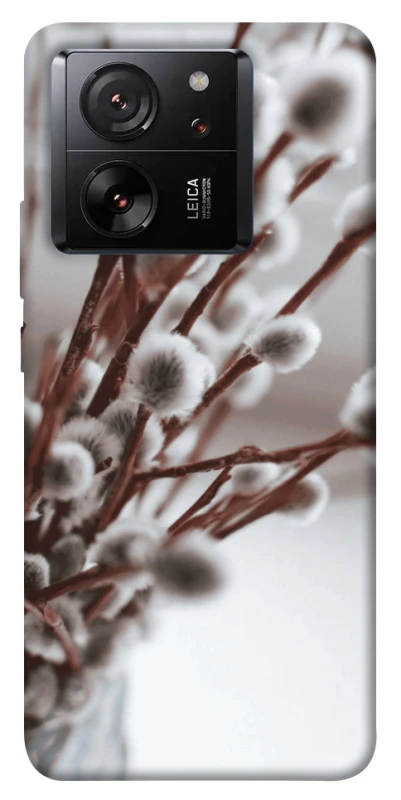 Чохол на Xiaomi 13T Pro Magic фото 1 з 1